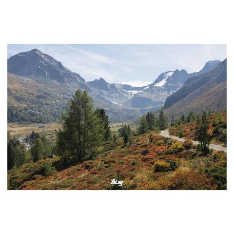 A path leading into the distance through a stunningly colorful alpine landscape with glaciated peaks in the background. In foreground, a dense carpet of small bushes and grasses in intensely saturated autumn colors (reads/oranges/yellows). Rocks and small groups of larches and Swiss pines dotted here and there. A mountain creek meandering through the meadows in the large cirque in the back. Hazy pale blue sky with some wispy clouds forming.