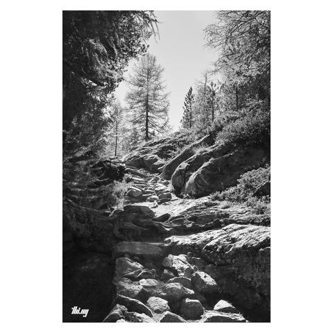 B&W photo of an old hiking path made of arranged rocks, in a similar fashion of ancient roman roads. The path is surrounded by forest and large boulders and is leading towards a steep drop-off in near distance. The path is partially in the shade of the trees, but the bright light creates a hard contrast. Clear bright sky.