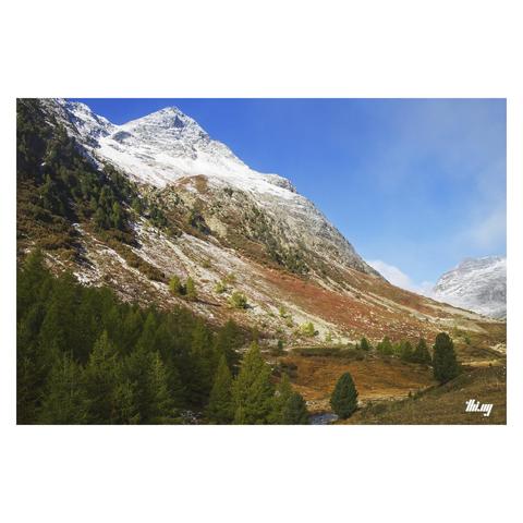 A group of swiss pines near an alpine mountain pass with slopes of colorful vegetation leading up to a majestic mountain peak. The higher elevations have already been dusted with the first snow. Clouds drifting over the pass from the other side in the distance. Otherwise clear blue sky.
